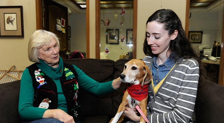 Therapy dogs on the rise