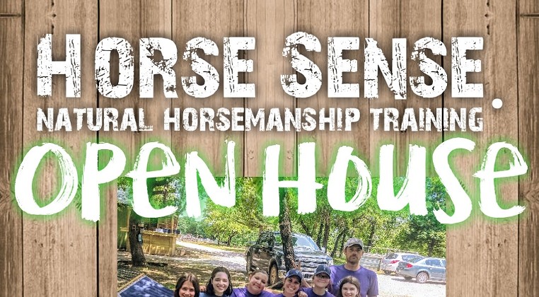 Horse Sense Natural Horsemanship Training FREE Open House
