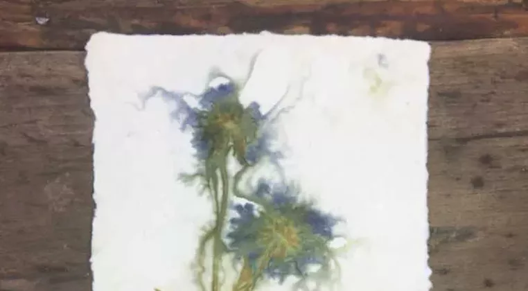 Image: Cyanotype and Eco-Print Workshop