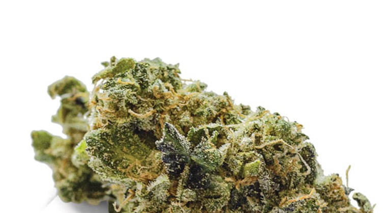 Flower Review: Cookie Monster Fire