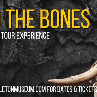 Behind the Bones: An Exclusive Tour Experience