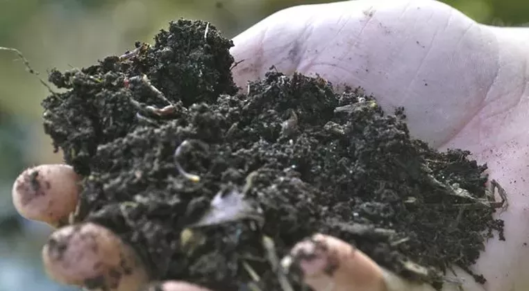 Image: Black Gold: Making Your Own Compost