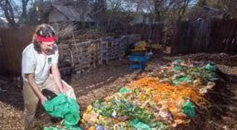 Image: Fungus & Microbes & Rot, Oh My! Recipes for Successful Composting
