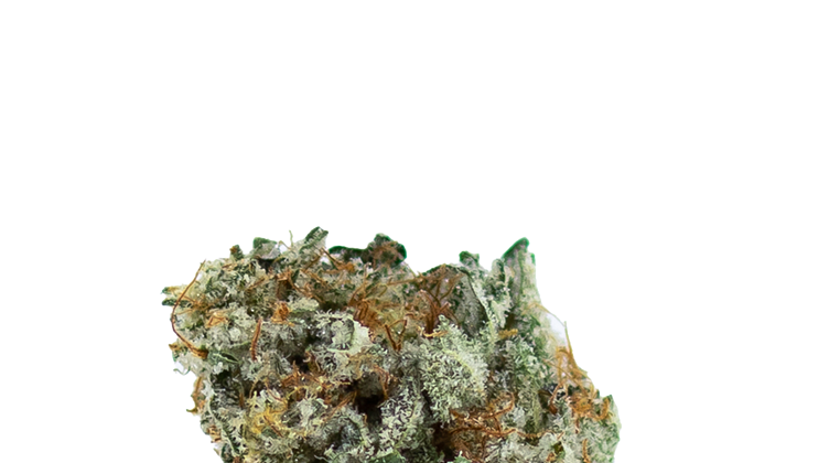 Strain Review: Scroopy Nopers