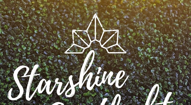 Starshine Spotlights - Live Music during Weekend Brunch