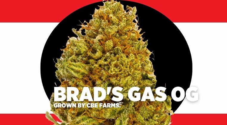 Strain Review: Brad’s Gas OG