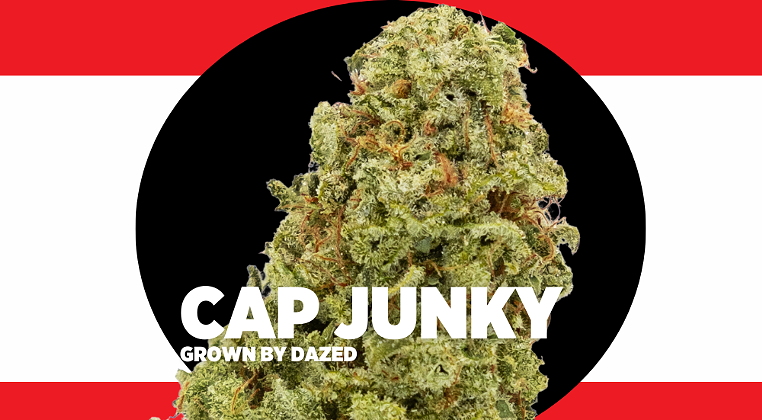 Strain Review: Cap Junky
