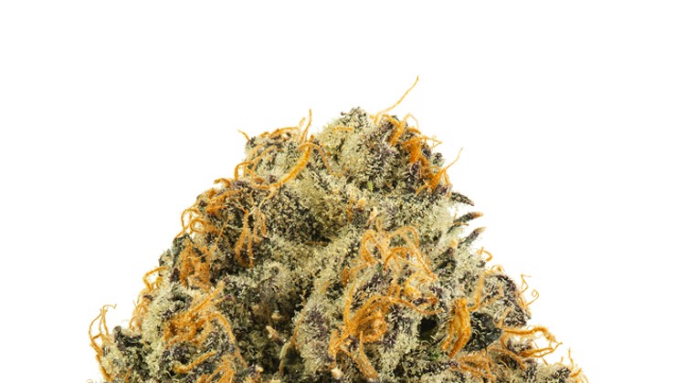 Strain Review: Cowboy Cup indoor flower entry #98 (strain unknown)