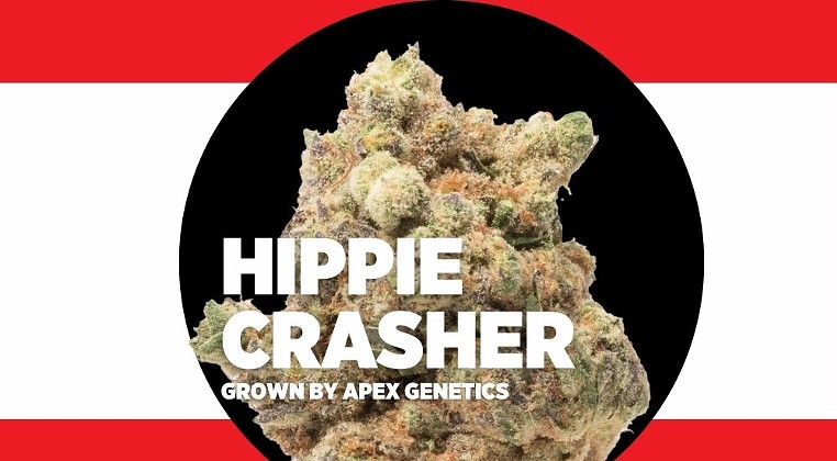 Strain Review: Hippie Crasher