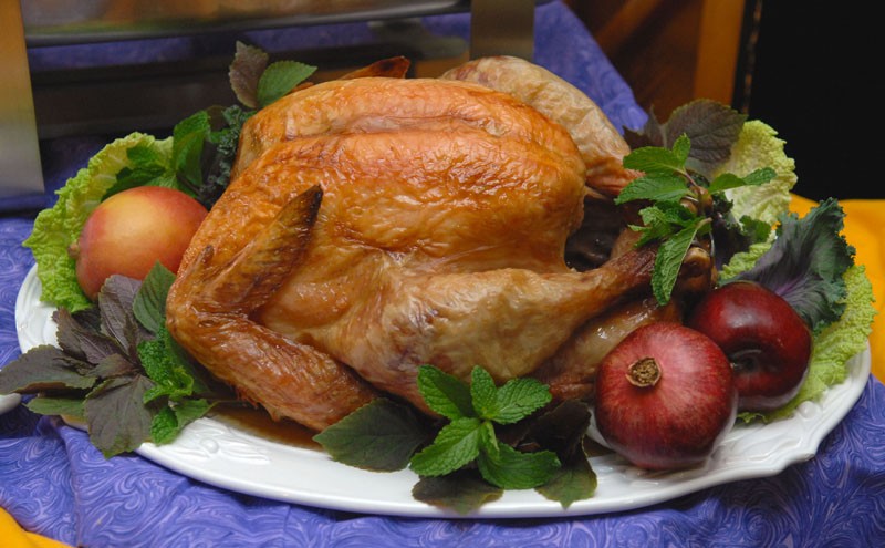 Navigating the debates of the Thanksgiving table