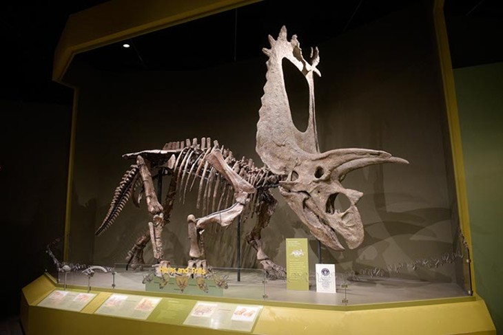 Norman's Sam Noble Oklahoma Museum celebrates 30 years as &#145;the dinosaur museum'