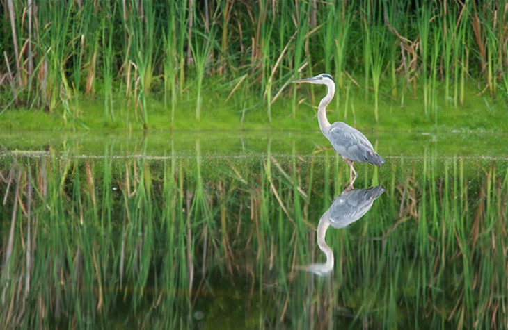 OKC Zoo and Nature Conservancy create research partnership