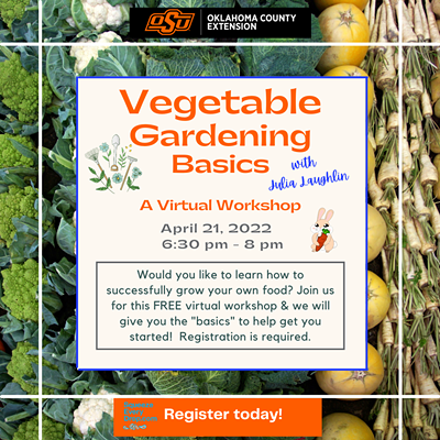 Vegetable Gardening Basics